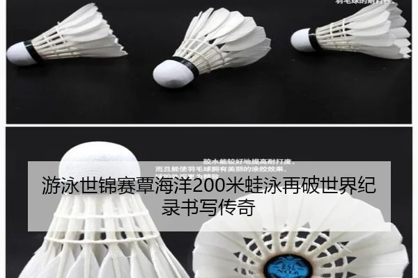 you-yong-shi-jin-sai-tan-hai-yang-mi-wa-yong-zai-po-shi-jie-ji-lu-shu-xie-chuan-qi-3-225.jpg