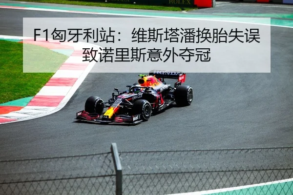 F1匈牙利站：维斯塔潘换胎失误致诺里斯意外夺冠