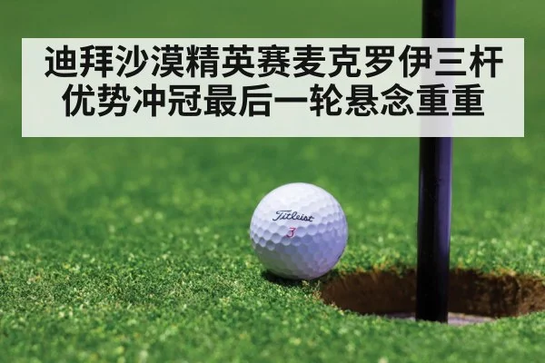 迪拜沙漠精英赛麦克罗伊三杆优势冲冠最后一轮悬念重重